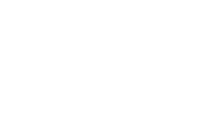 auditor controller icon