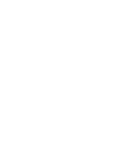 CEO icon