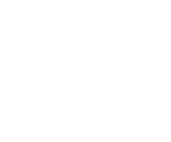 Public Defender Icon