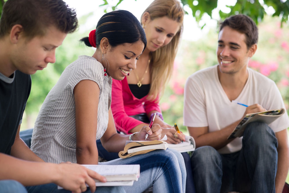 Student group study session