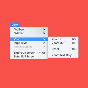 zoom preview on windows