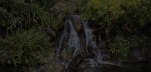 LA County arboretum
